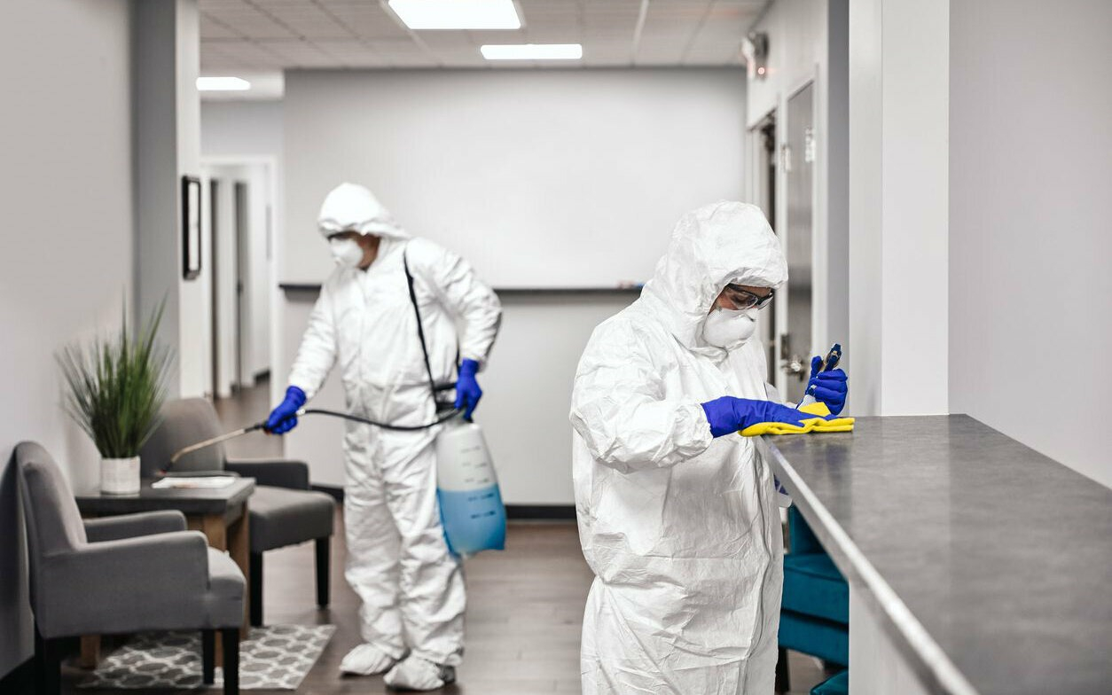 ФОТО Обработка офиса от вредителей в поселке Московской области Мечниково | подробно