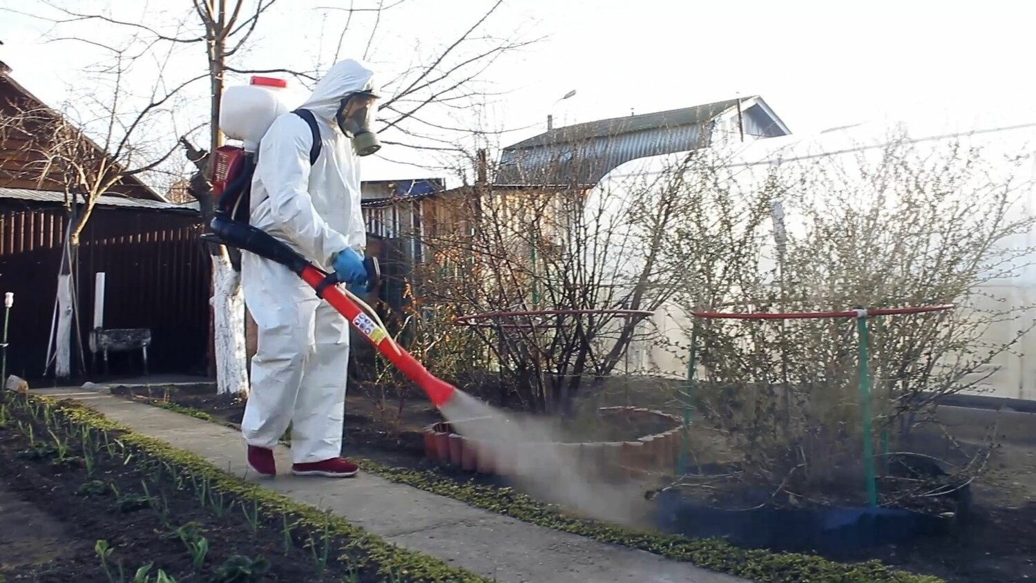 ФОТО Уничтожение муравьёв в поселке Московской области Мечниково