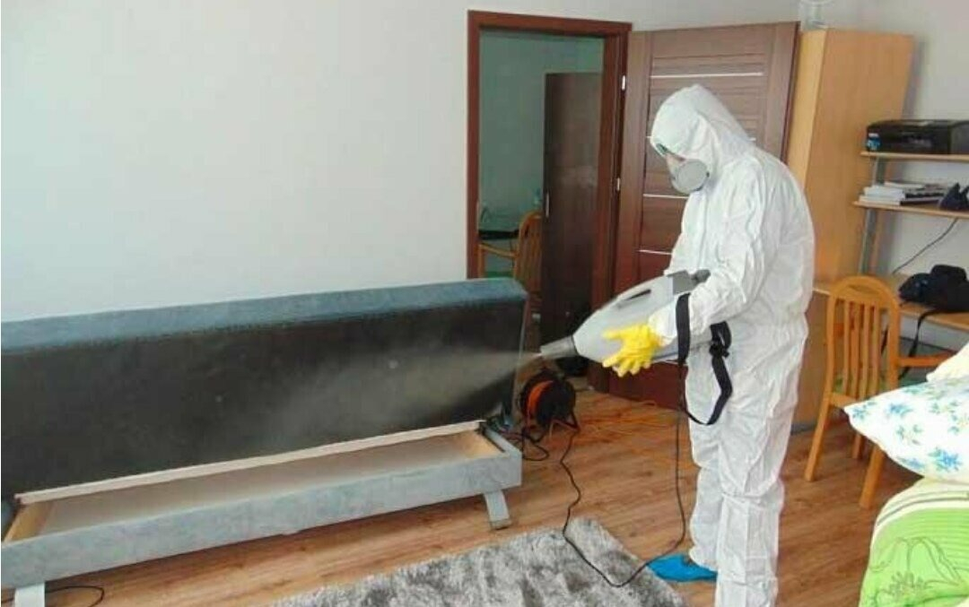 ФОТО Уничтожение блох в поселке Московской области Мечниково