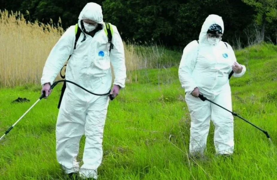 ФОТО Обработка от клещей в поселке Московской области Мечниково