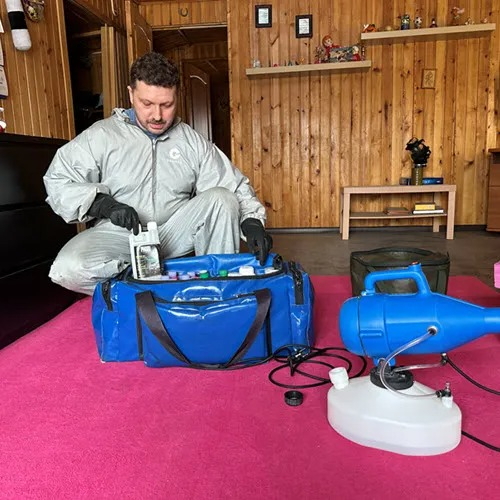 ФОТО Дератизация в поселке Московской области Мечниково