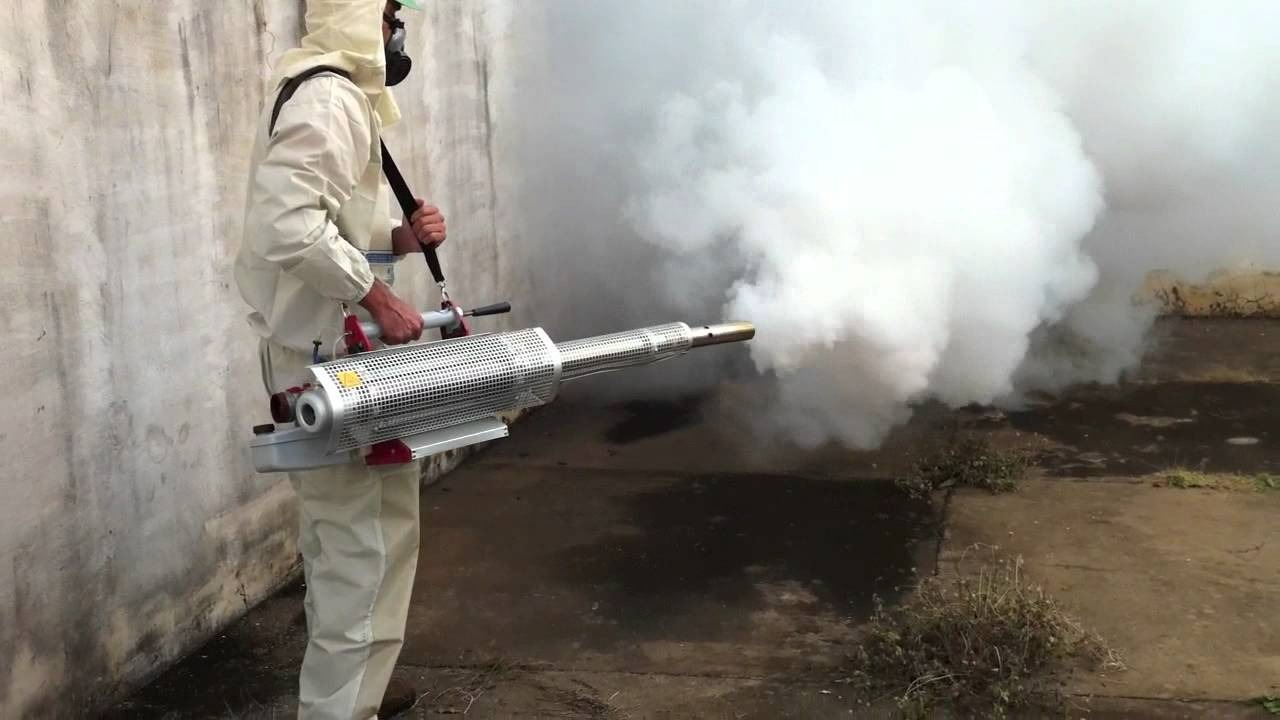 ФОТО Уничтожение мух в поселке Московской области Мечниково