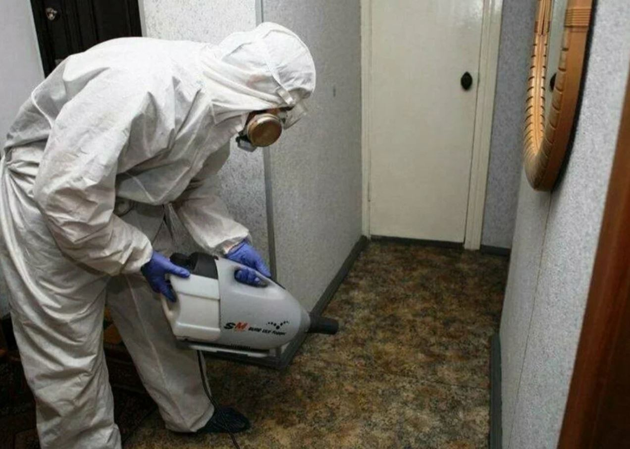 ФОТО Какие методы обработки для дезинсекции существуют в поселке Московской области Мечниково? | подробно