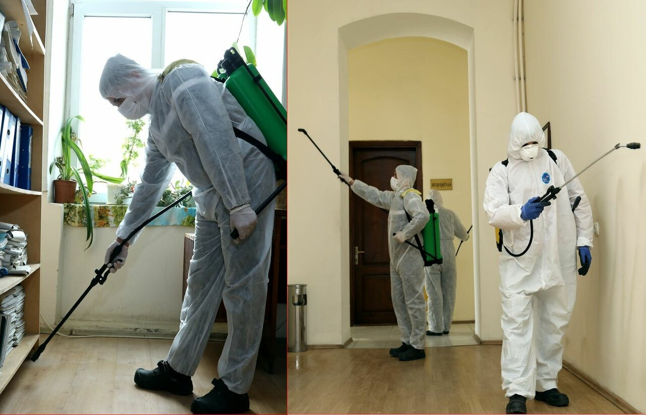 ФОТО Требуется ли лицензия для дезинсекции и дезинфекции в поселке Московской области Мечниково? | подробно