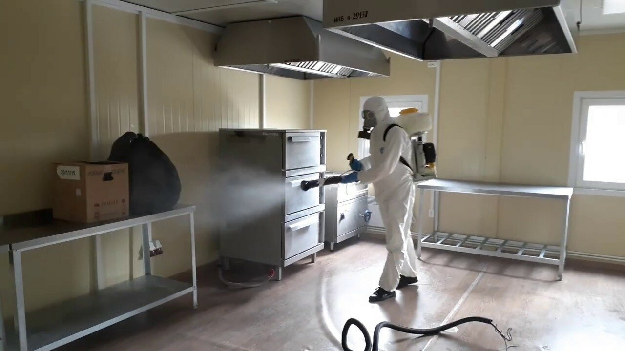 ФОТО Можно ли провести дезинсекцию самостоятельно и какие существуют риски в поселке Московской области Мечниково? | подробно