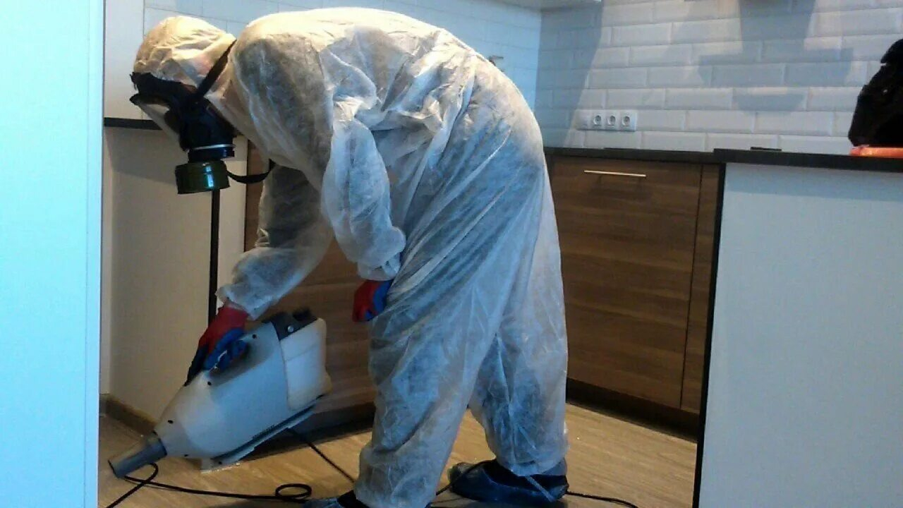 ФОТО Как подготовить домашних животных к обработке от насекомых в поселке Московской области Мечниково? | подробно