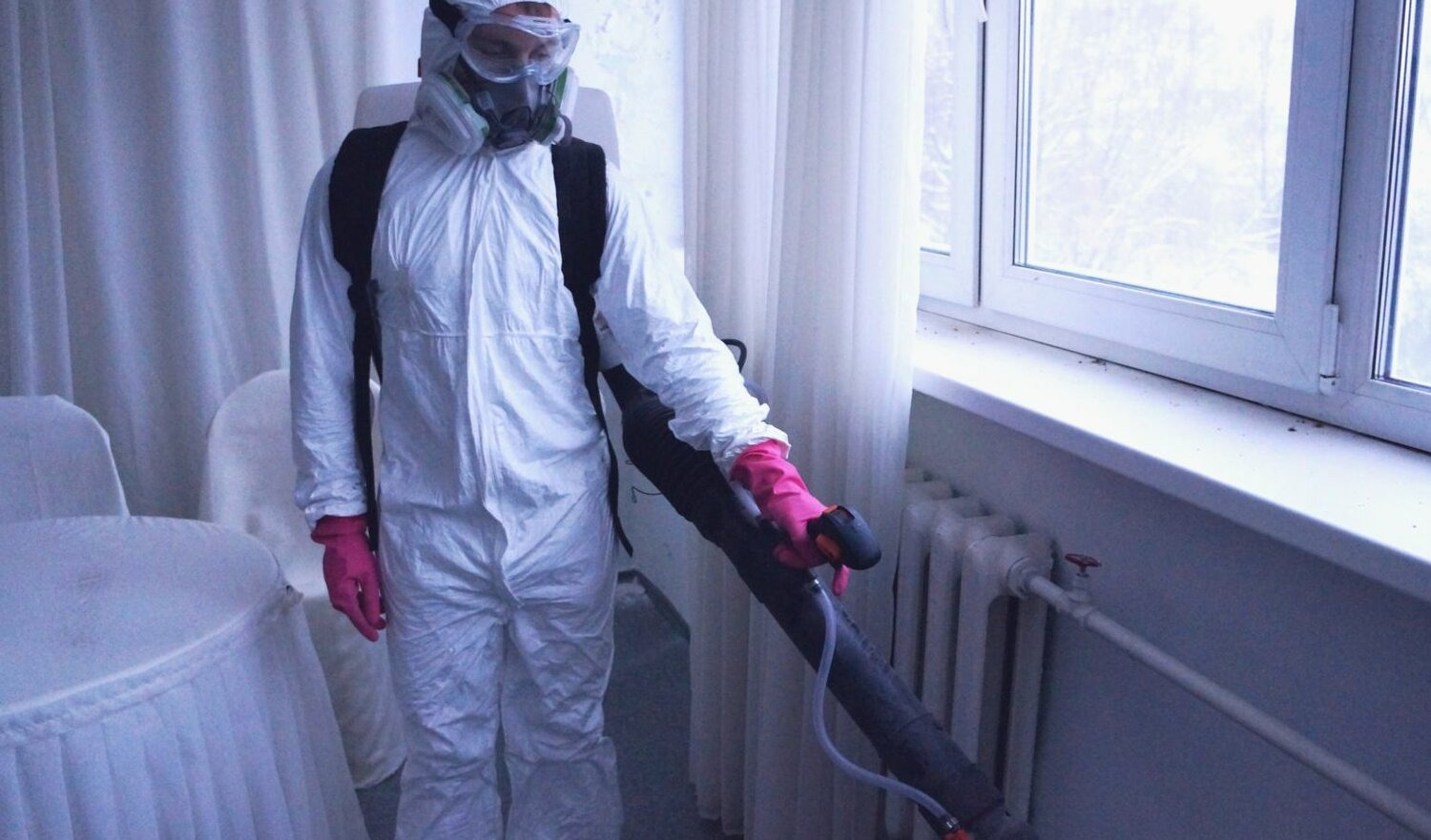 ФОТО Нужно ли выносить растения при дезинсекции в поселке Московской области Мечниково? | подробно