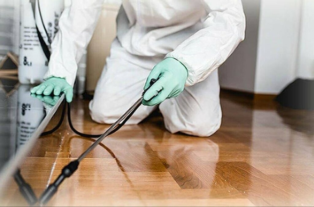 ФОТО Как подготовить вентиляцию при предстоящей дезинсекции в поселке Московской области Мечниково?