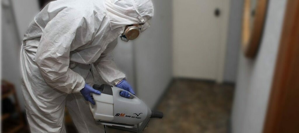 ФОТО Остаются ли следы после обработки квартиры от насекомых в поселке Московской области Мечниково? | подробно