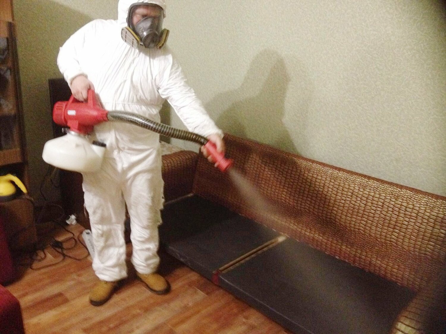 ФОТО Когда можно вернуться в помещение после дезинсекции в поселке Московской области Мечниково? | подробно