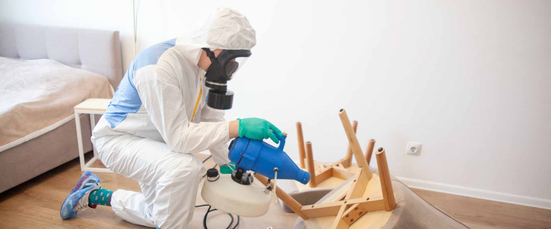 фото: Уничтожение постельных клопов с 1-го раза с гарантией за 30-60 мин. в поселке Московской области Мечниково без предоплаты