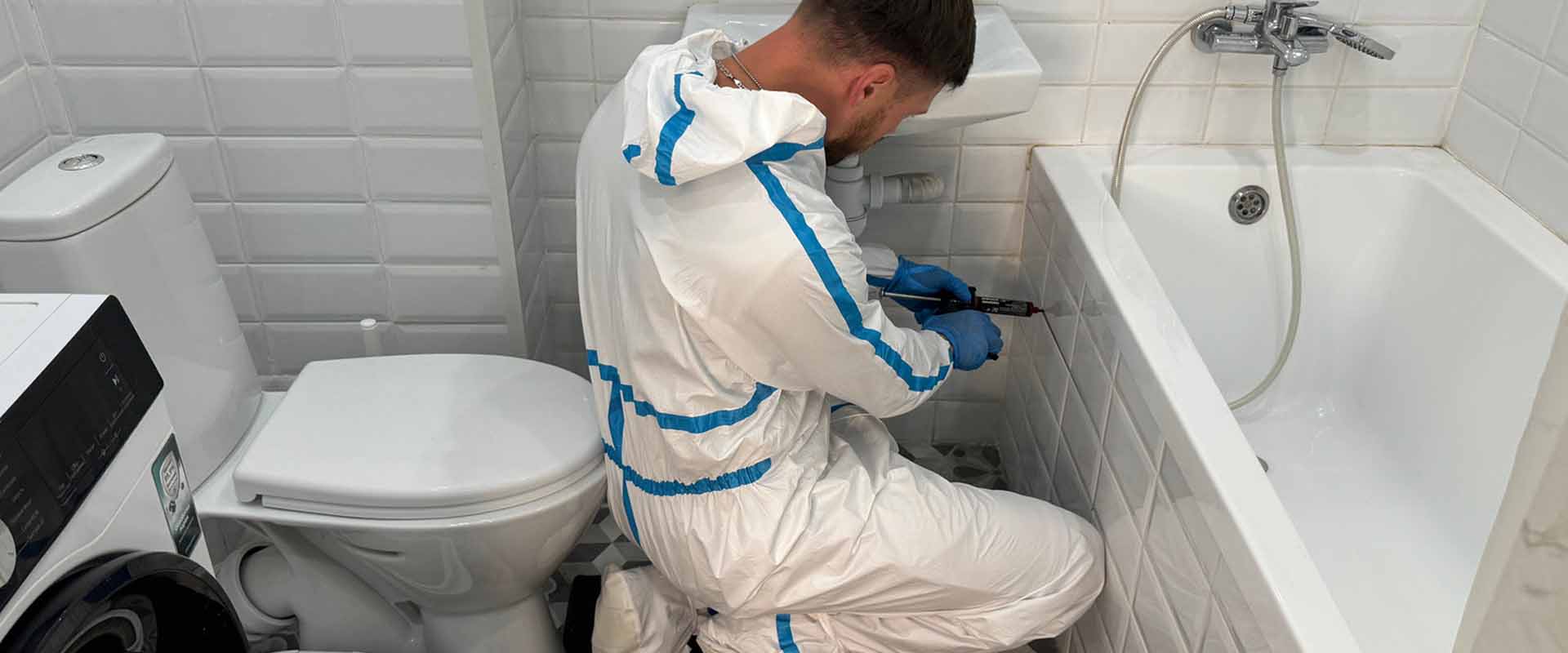 фото: Уничтожение тараканов навсегда с 1-го раза с гарантией за 30-60 мин. в поселке Московской области Мечниково